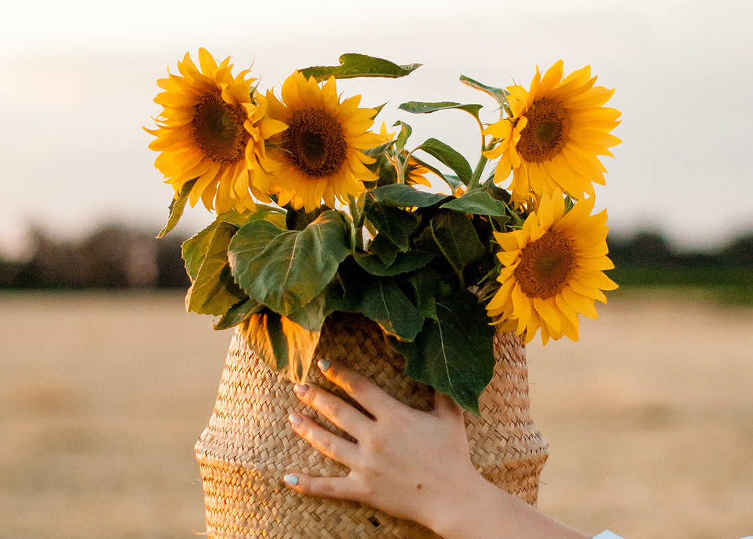 What do sunflowers, vitamin E and happiness have in common?